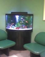 Corner Aquarium System 